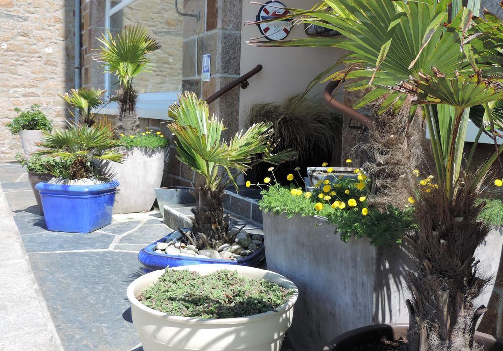 Hotel Aux Tamaris - Vue Mer Roscoff Ngoại thất bức ảnh